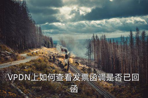 發(fā)票為什么會被復函，VPDN上如何查看發(fā)票函調(diào)是否已回函