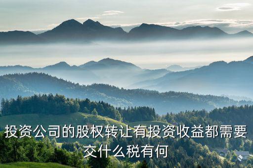 投資公司都要納什么稅，外商投資企業(yè)以設(shè)備投資需要交什么稅