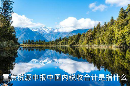 重點稅源填了有什么用，我的電腦重裝后重點稅源以前數(shù)據(jù)怎么查詢