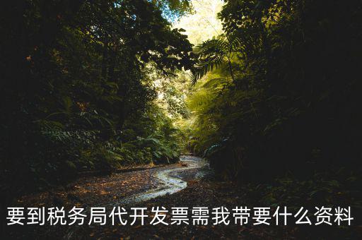 去稅務(wù)局開(kāi)票需要帶什么資料，去稅務(wù)局開(kāi)票的話需要帶什么材料呢