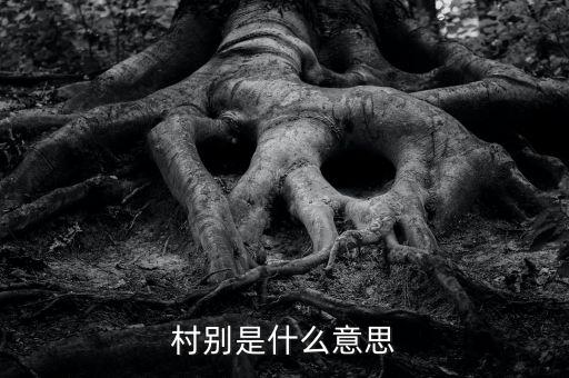 稅務(wù)所村審是什么意思，村別是什么意思