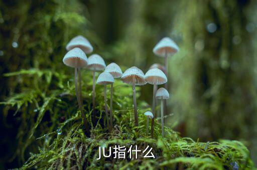云南話ju什么意思，ju是什么意思