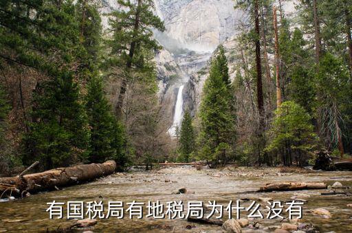 晨曦集團地稅為什么少，社保為什么要地稅代扣