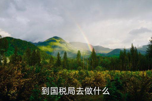 國稅局什么工作，國稅是做什么工作的