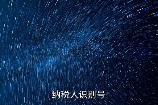 五證合一納稅人識(shí)別號(hào)是什么，納稅人識(shí)別號(hào)是什么