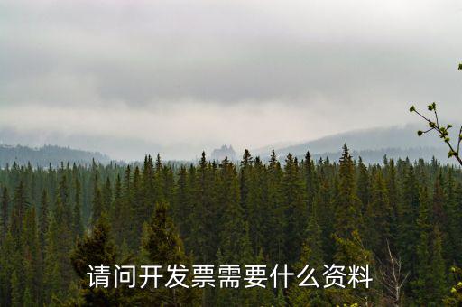 請(qǐng)問(wèn)開發(fā)票需要什么資料