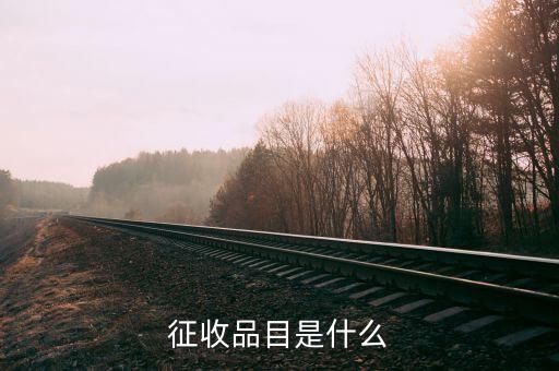 所得稅品目名稱是什么，請問個人所得稅的全稱是什么謝謝
