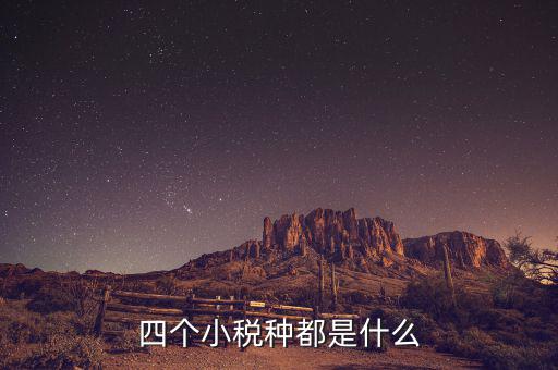 地稅小稅種是什么意思，四個(gè)小稅種都是什么
