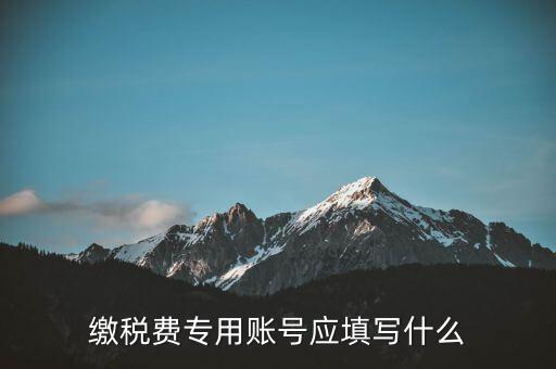 繳稅賬戶填什么，繳稅費專用賬號應(yīng)填寫什么