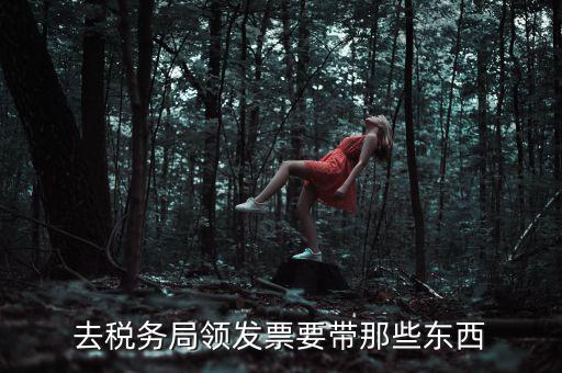 國稅領(lǐng)取發(fā)票需要帶什么，去國稅局領(lǐng)發(fā)票要帶什么