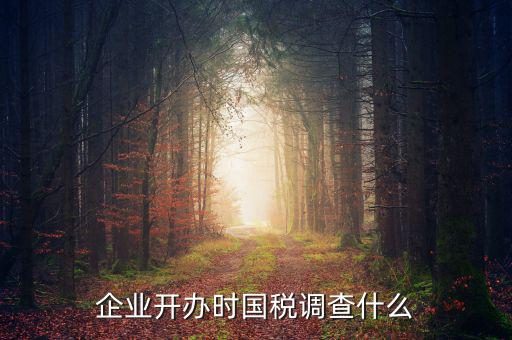 國稅稅收調(diào)查調(diào)查什么，國稅三稅調(diào)查是指哪三稅