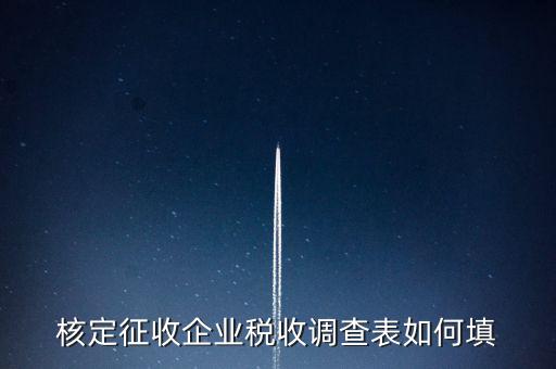 什么企業(yè)填稅收調查表，核定征收企業(yè)稅收調查表如何填