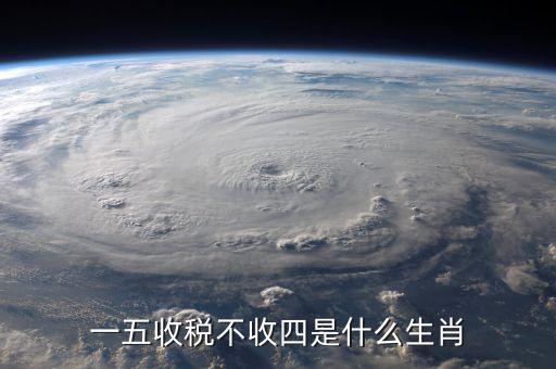什么生肖要打稅，稅意新榮打一生肖
