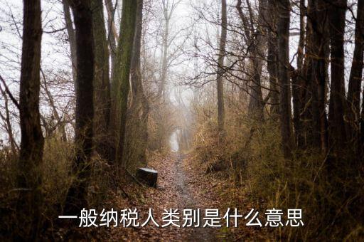 納稅人類別填什么，一般納稅人類別是什么意思