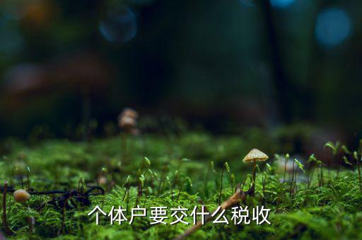 個(gè)體商戶納什么稅，個(gè)體戶要交什么稅收