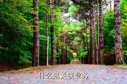什么叫關(guān)聯(lián)業(yè)務(wù)，什么是企業(yè)年度關(guān)聯(lián)業(yè)務(wù)往來