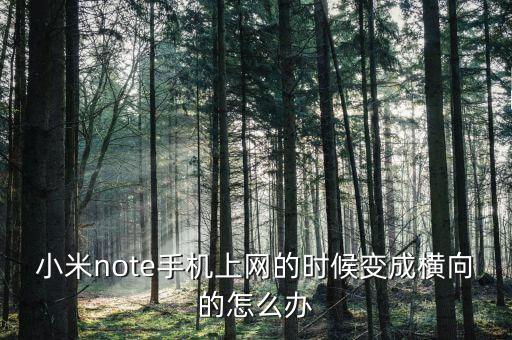 小米note手機(jī)上網(wǎng)的時候變成橫向的怎么辦