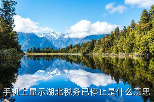 國(guó)稅業(yè)務(wù)停用什么意思，手機(jī)上顯示湖北稅務(wù)已停止是什么意思