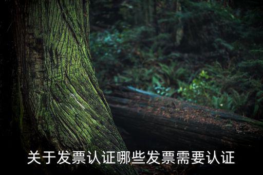 發(fā)票通過什么認證嗎，關(guān)于發(fā)票認證哪些發(fā)票需要認證