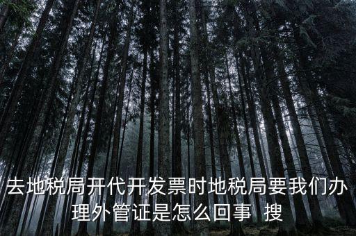 為什么要開電子外管證，像您咨詢一下關(guān)于外管證的事宜我前一陣開了外管證您說是避免