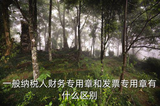 發(fā)票專用章上都有什么區(qū)別，一般納稅人財(cái)務(wù)專用章和發(fā)票專用章有什么區(qū)別