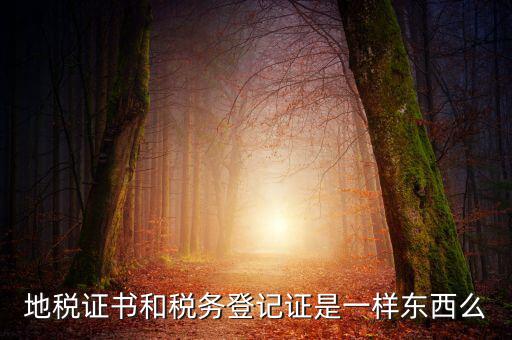 地稅登記證是什么，地方稅納稅資料封面上稅務(wù)登記證號是甚么