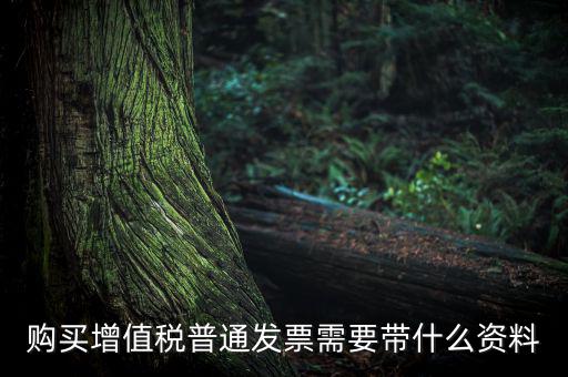 購(gòu)買增值稅普通發(fā)票需要帶什么資料