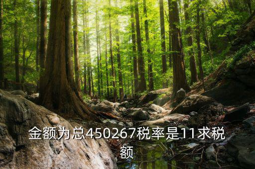 11 是什么稅率，招標文件稅率為人工費11是什么意思