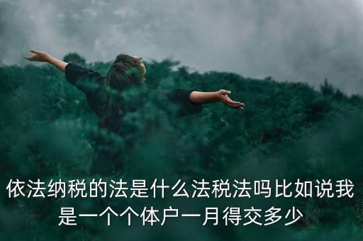 什么是依法納稅人，依法納稅的法是什么法稅法嗎比如說(shuō)我是一個(gè)個(gè)體戶一月得交多少