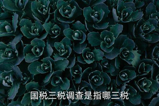 全國稅收調(diào)查是什么，全國稅收調(diào)查表中審核公式IFXXBB8 1 XXBB8 4