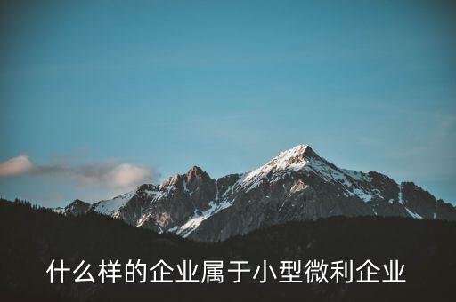 什么企業(yè)算小微企業(yè)，由什么部門來(lái)核準(zhǔn)企業(yè)屬于小微企業(yè)