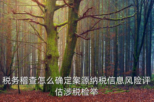 稅務稽查怎么確定案源納稅信息風險評估涉稅檢舉
