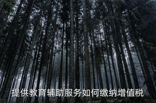 教育輔助服務包括什么，教育咨詢服務包括代理招生嗎