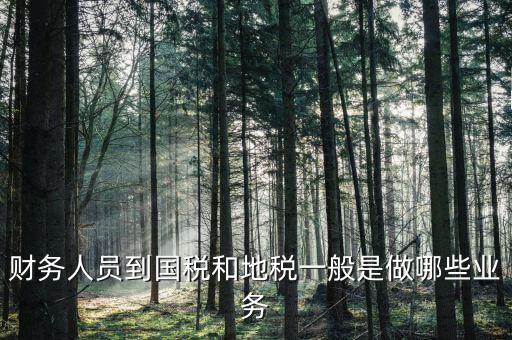 國稅地稅有什么工作，地稅工作人員有哪些職務(wù)