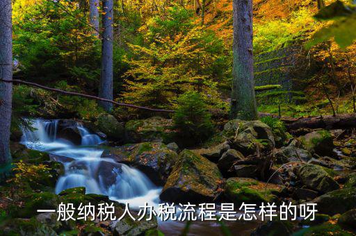 什么是正常辦稅，一般納稅人辦稅流程是怎樣的呀