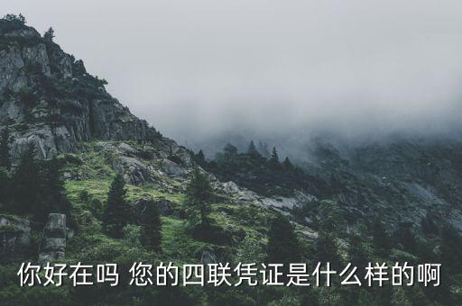 汽車四聯(lián)發(fā)票是什么樣，你好在嗎 您的四聯(lián)憑證是什么樣的啊