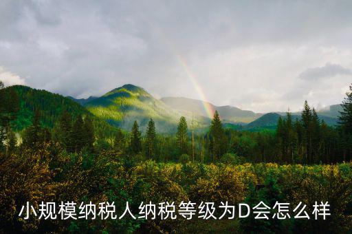 納稅等級(jí)d級(jí)有什么影響，納稅信用d級(jí) 對(duì)股權(quán)關(guān)聯(lián)法人不同的總子公司有影響嗎