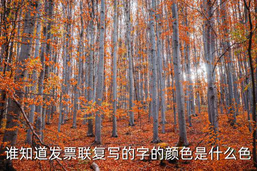 雙聯(lián)發(fā)票是什么字體，三聯(lián)發(fā)票和兩聯(lián)發(fā)票大小一樣用重設置打印機嗎