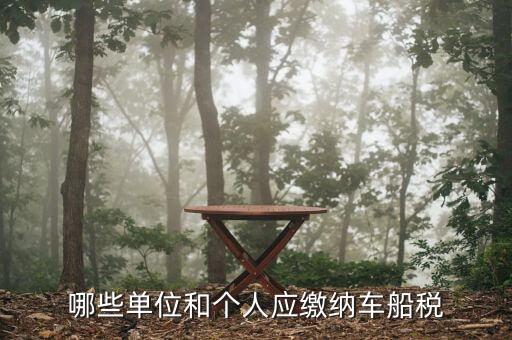 車船納稅單是什么，哪些單位和個(gè)人應(yīng)繳納車船稅