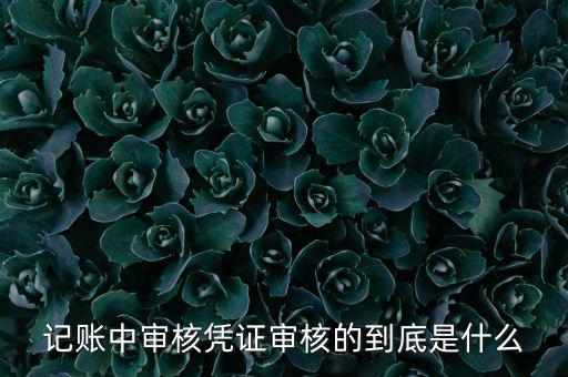 什么是抵扣憑證審核，記賬中審核憑證審核的到底是什么