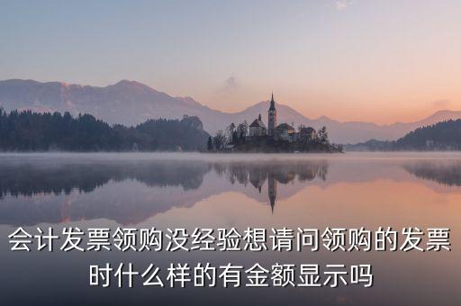 發(fā)票領(lǐng)用單是什么樣的，會(huì)計(jì)發(fā)票領(lǐng)購沒經(jīng)驗(yàn)想請(qǐng)問領(lǐng)購的發(fā)票時(shí)什么樣的有金額顯示嗎