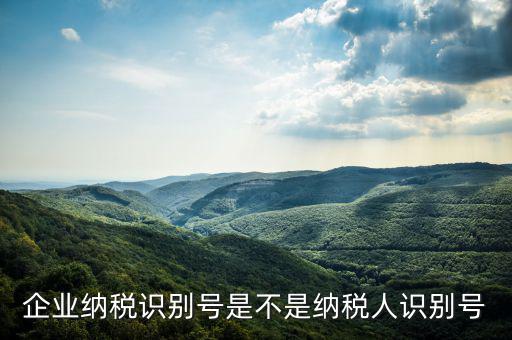 公司納稅識別號是什么，納稅人識別號是什么