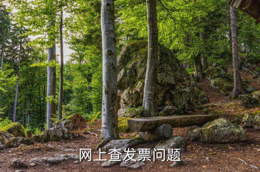 查發(fā)票流向什么意思，網(wǎng)上查發(fā)票問題