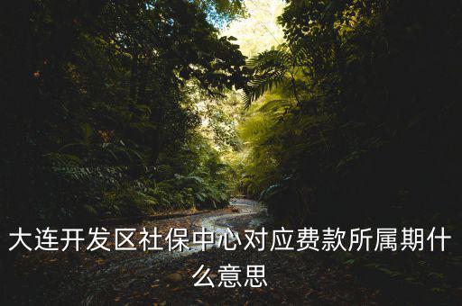 社保所屬期是什么意思，大連開發(fā)區(qū)社保中心對(duì)應(yīng)費(fèi)款所屬期什么意思