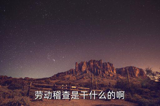 稽查是什么工作，勞動(dòng)稽查是干什么的啊