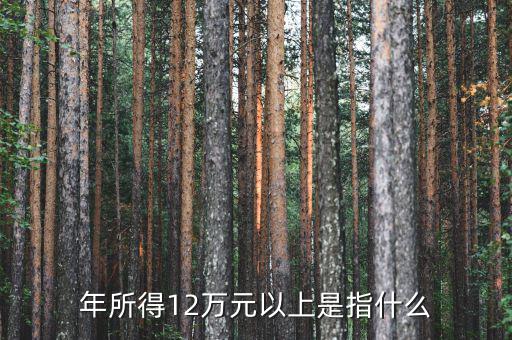 年所得12萬指的是什么意思，年所得12萬元以上是指什么