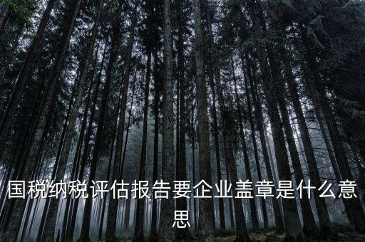 稅務(wù)國別報告是什么意思，國稅納稅評估報告要企業(yè)蓋章是什么意思