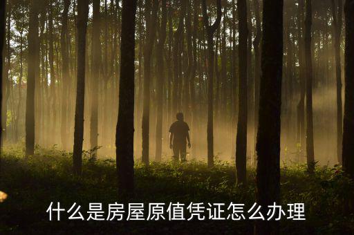 房屋原值是什么，什么是房屋原值憑證怎么辦理