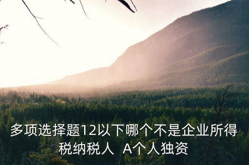 什么納稅人，多項選擇題12以下哪個不是企業(yè)所得稅納稅人  A個人獨資
