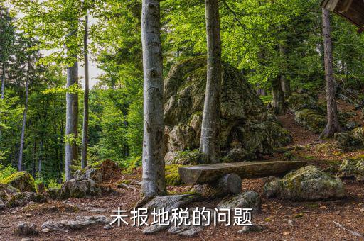 未報(bào)地稅的問(wèn)題